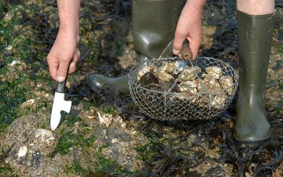 La pêche à pied est ouverte