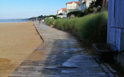Aménagement et valorisation du haut de plage
