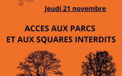ALERTE ORANGE – Vent violent le 21-11-24