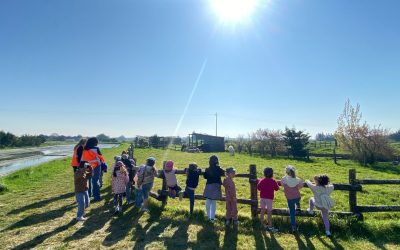 Roule ta bille accueille les enfants pendant l’été